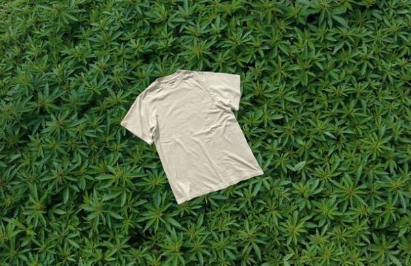 20年の歴史を持つエコロジーブランド「Phatee」、『ヘンプTシャツキャンペーン』を3/8から実施！　～対象商品購入でPhateeキャップをプレゼント～