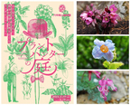 六甲高山植物園 初開催イベント『プラントハンターの庭』3月19日（土）～6月19日（日）