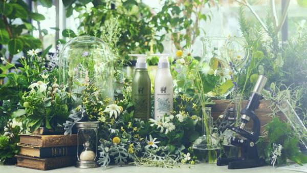 planticaとコラボしたデザインが限定で登場！次世代オーガニックシャンプー「ハーバニエンス」　春を彩る華やかな“フラワーボトル”が本日発売