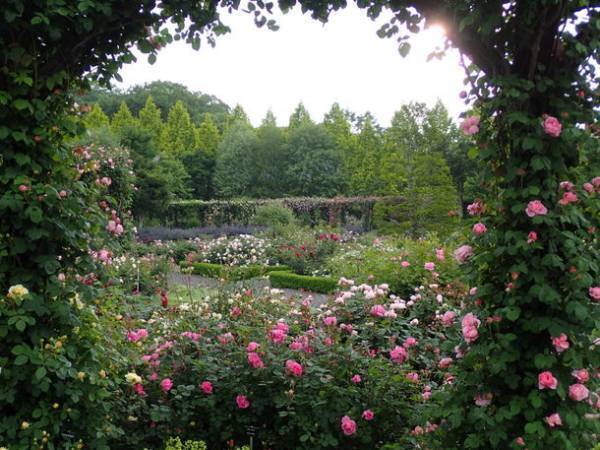 「自然を愛するすべての人へ」軽井沢レイクガーデンが4月22日(金)から開園