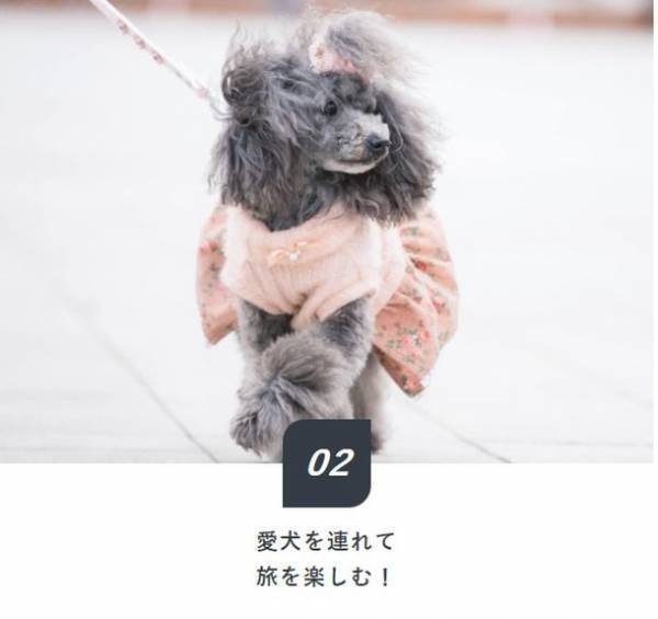 都市型ホテルで愛犬と一緒に泊まれる！ホテルリブマックスの「Dog×Stay」プランが好評につき対象施設拡大