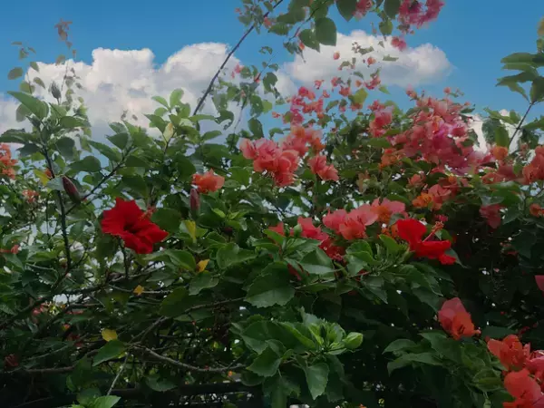 「日本のひなた宮崎フェス」で宮崎県の魅力を関西圏に発信！2022年3月20日(日) 大阪市にて、宮崎県の観光・グルメ情報や移住情報のセミナー＆展示会を初開催！