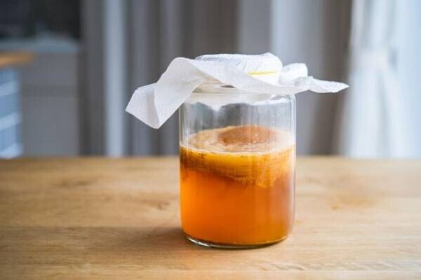 東北初！欧米で人気の乳酸菌発酵飲料「コンブチャスタンド」が今春仙台でオープン