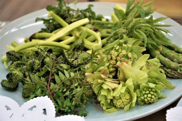 新潟・津南の総合リゾート施設　ニュー・グリーンピア津南　『山菜を楽しむ夕べ』を3回にわたり開催！