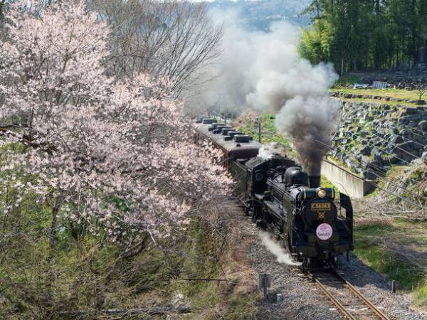 秩父路を走るSLパレオエクスプレス　「SLファーストラン号」を3月19日に運行～春のおでかけシーズンに合わせ、SL車内イベントの実施も～