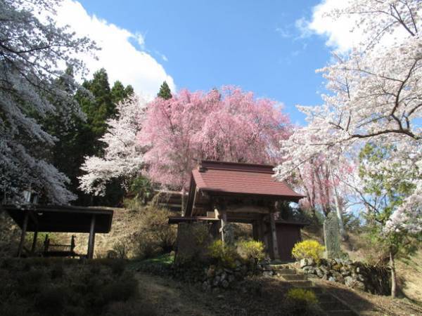 秩父路を走るSLパレオエクスプレス　「SLファーストラン号」を3月19日に運行～春のおでかけシーズンに合わせ、SL車内イベントの実施も～