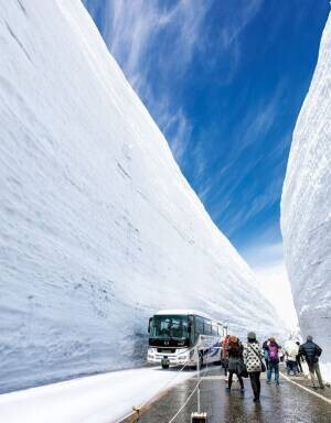 立山黒部アルペンルート　2022年4月15日(金)より、2022立山黒部・雪の大谷フェスティバルを開催！