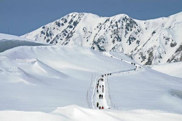 立山黒部アルペンルート　2022年4月15日(金)より、2022立山黒部・雪の大谷フェスティバルを開催！