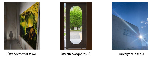 596点の応募作品から、計16点の入選作品が決定！「ミュージアムロードInstagramフォトコンテスト」結果発表