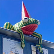 596点の応募作品から、計16点の入選作品が決定！「ミュージアムロードInstagramフォトコンテスト」結果発表