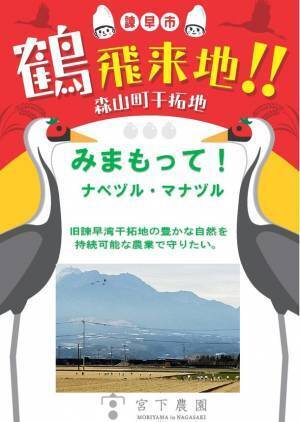 森山地域の活性化と持続可能な農業の共栄を目指し、クラウドファンディング『鶴に恩返し　～海抜ゼロメートルの田に飛来する鶴を見守りたい!!』を開始