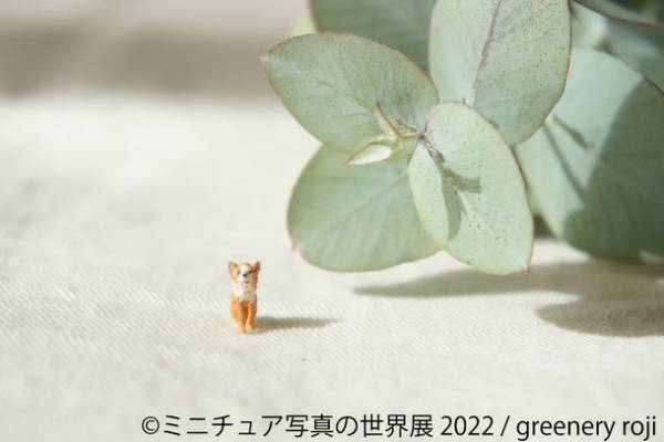 他では見れない約1年がかりの作品も？！ミニチュアアート最新作「ミニチュア写真の世界展 2022」4/8～開催！出展者数66組超え
