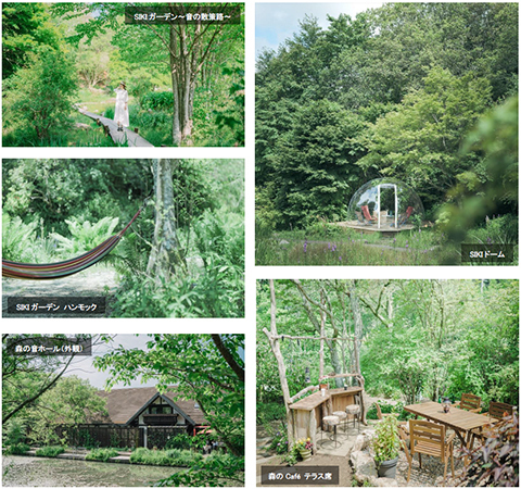 春到来！ROKKO森の音ミュージアムスプリングシーズンイベント2022年3月18日（金）～5月11日（水）