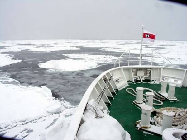 氷が弱化した北極の海における安全な航行と環境への影響は　3月17日開催トークイベントで、金野祥久教授が解説