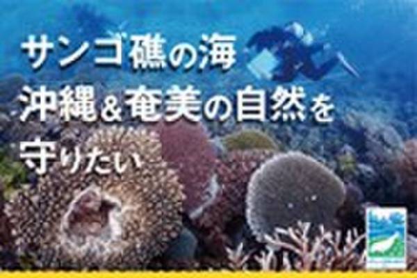 「肌にやさしい」は「海」にもやさしい　オーガニックコスメで海を守るUV募金キャンペーンを開催