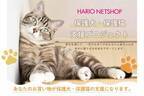 HARIOペット「保護犬・保護猫支援プロジェクト」を実施　HARIO NETSHOP購入金額の1％を一般社団法人三崎動物保護センター「みさきアニマルすまいる」へ寄付