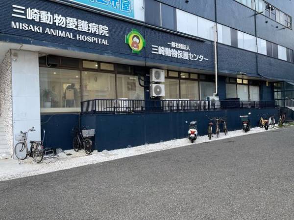 HARIOペット「保護犬・保護猫支援プロジェクト」を実施　HARIO NETSHOP購入金額の1％を一般社団法人三崎動物保護センター「みさきアニマルすまいる」へ寄付