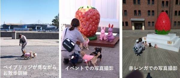 横浜市にて24時間利用可能なシェア型のドッグランをOPEN！　～4/27のOPENに向けてクラウドファンディングを実施中～