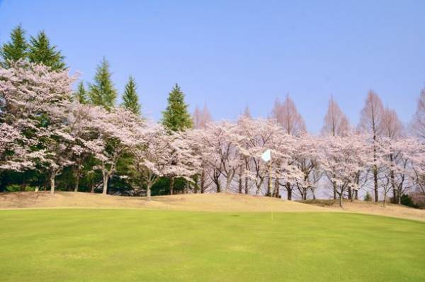 35万平米の森に【グランピングワーケーション】施設 3月19日(土)オープン！家族利用やゴルフも可能｜芳賀ファーム＆グランピング(栃木県)