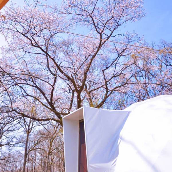 35万平米の森に【グランピングワーケーション】施設 3月19日(土)オープン！家族利用やゴルフも可能｜芳賀ファーム＆グランピング(栃木県)