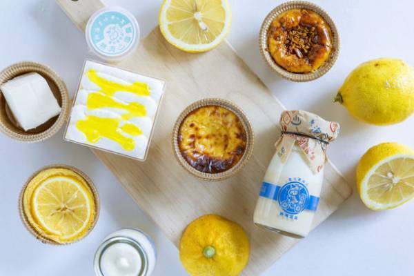 【オープン1周年記念】チーズケーキ専門店『熱海ミルチーズ』に“春の新作”が登場！こんがり＆とろ～り「半熟バスクチーズケーキ」など販売開始　3月19日(土)発売初日は“焼きたてバスク”の無料配布も！