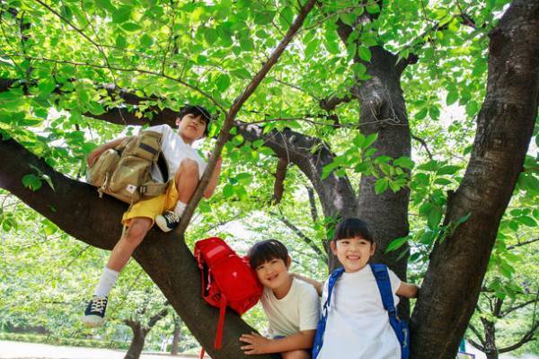 脱ランドセル派のための通学かばん　ZACARI「通学はいのう」4月18日より一般予約受付を開始