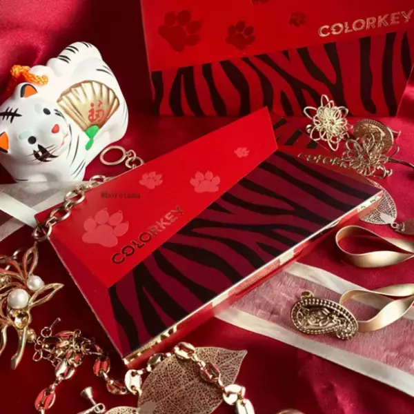 話題の中国コスメブランド《COLORKEY》から豪華強力な登場！発売初日は日本のアイシャドウパレットで3位になる。日本一位を目指す！！