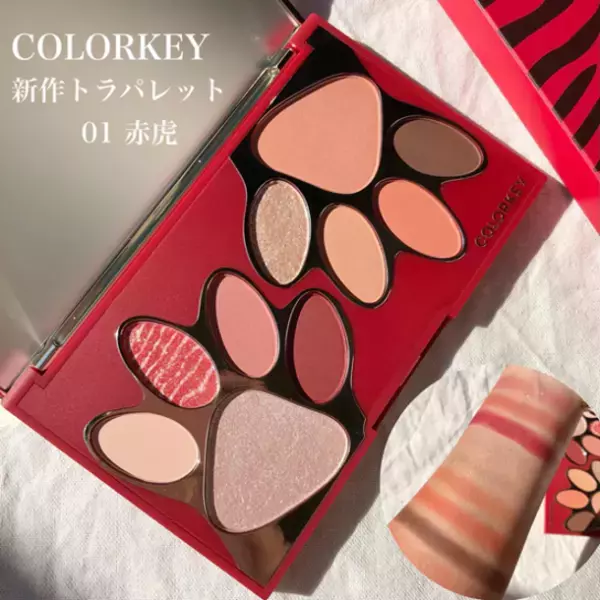 話題の中国コスメブランド《COLORKEY》から豪華強力な登場！発売初日は日本のアイシャドウパレットで3位になる。日本一位を目指す！！