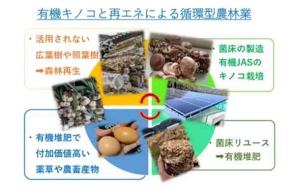 有機営農型ソーラーハウスを自社考案、販売へ　自然再生エネルギーと有機認証キノコが生産可能　事業参入企業向けに、キノコ販売の戦略提案も