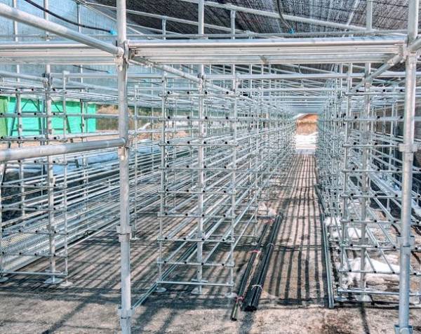 有機営農型ソーラーハウスを自社考案、販売へ　自然再生エネルギーと有機認証キノコが生産可能　事業参入企業向けに、キノコ販売の戦略提案も