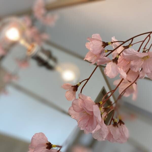あらゆる思いを、桜にのせて。桜パステルルーム　販売開始