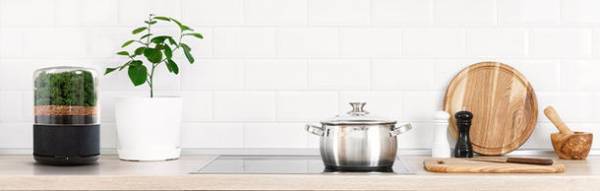 観葉植物3千個分。サステイナブルな小型空気清浄機「Briiv」をクラウドファンディングKibidango及びGREEN FUNDINGにて3月18日に販売開始