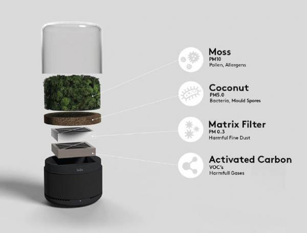 観葉植物3千個分。サステイナブルな小型空気清浄機「Briiv」をクラウドファンディングKibidango及びGREEN FUNDINGにて3月18日に販売開始