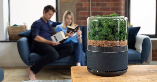 観葉植物3千個分。サステイナブルな小型空気清浄機「Briiv」をクラウドファンディングKibidango及びGREEN FUNDINGにて3月18日に販売開始