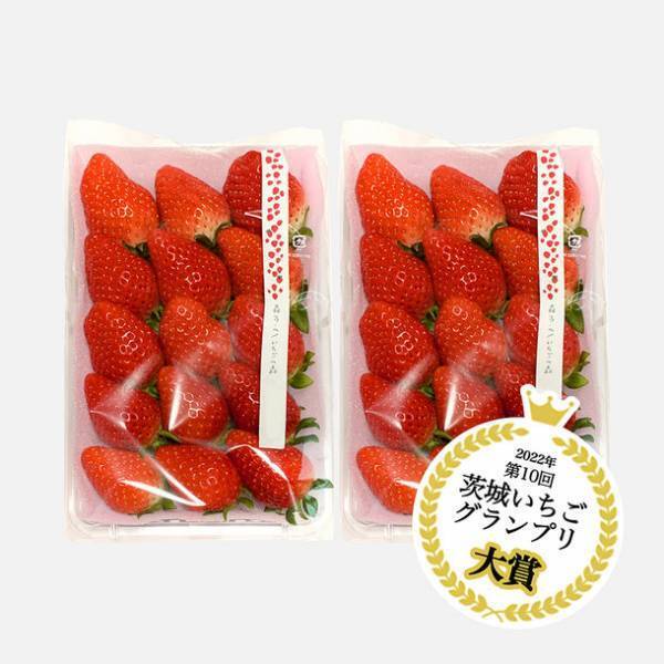 第10回茨城いちごグランプリ大賞受賞のいちごを収穫体験！森ファームにていちご狩りを5月まで開催中！