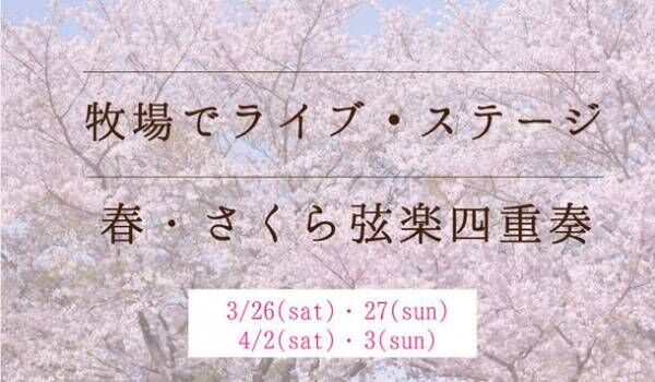 牧場で、本格的な弦楽ライブ・ステージ？！千葉県の「成田ゆめ牧場」にて3月26日・27日、4月2日・3日にプロのミュージシャンによる「春・さくら弦楽四重奏」が初開催