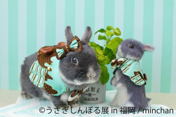 ＜2年ぶり福岡＞ もふカワ“うさぎの祭典”は新作ベースで凱旋「うさぎしんぼる展 2022 in 福岡」4/23～開催！限定グッズ登場