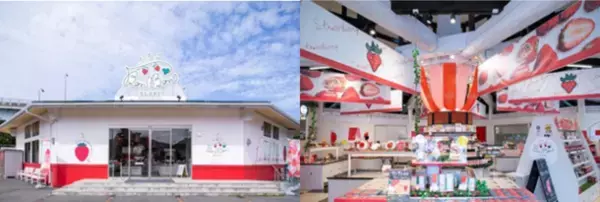 いちご専門店の道の駅「いちごBonBonBERRY 伊豆の国factory」にて春爛漫のピクニック気分を楽しめるキュートないちご尽くしのスイーツビュッフェ『いちごの国のピクニックパーティー』を4月1日(金)より期間限定で開催！