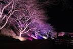 千葉県「成田ゆめ牧場」で4月1日・2日・3日に夜桜ライトアップイベント開催