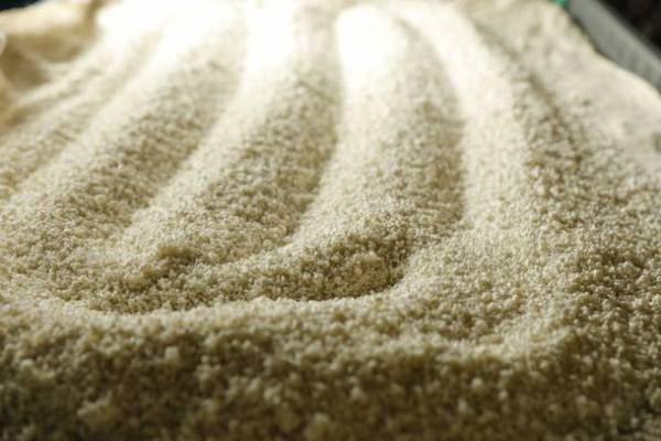 伊勢の酒蔵「河武醸造」とみちひらきの大神「猿田彦神社」を巡るオンラインツアー4/16開催　～新ブランド日本酒「式」伊勢の神秘に心と体を癒す～