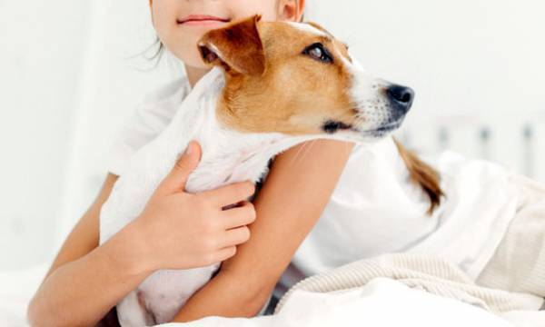 愛犬と一緒に使える無添加シャンプー！水の代わりに“天然シルク抽出液”を使った「the Shampoo」3/31～販売開始