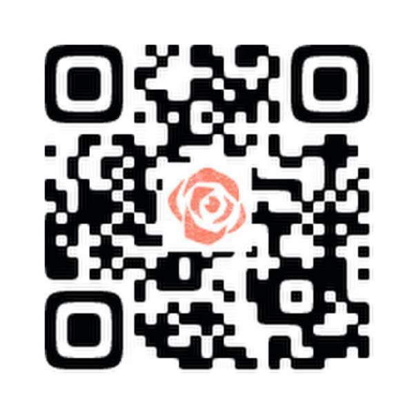 海外絵本を翻訳、「チッピィからの贈りもの」3/30に出版　絵本に登場するローズチキンを商品化計画