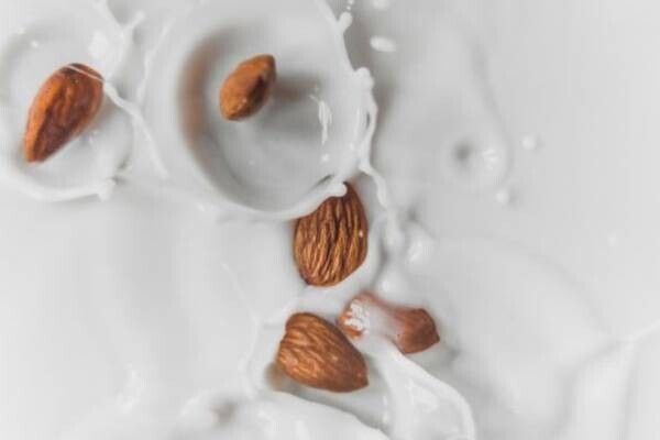 健康効果に脚光！アーモンドミルク市場は前年比48％増、148億円に　枝豆・じゃがいも・オーツ麦など、様々な植物性ミルクが登場する中でもアーモンドミルクはおいしさと低カロリー、ビタミンEで人気の飲料に成長