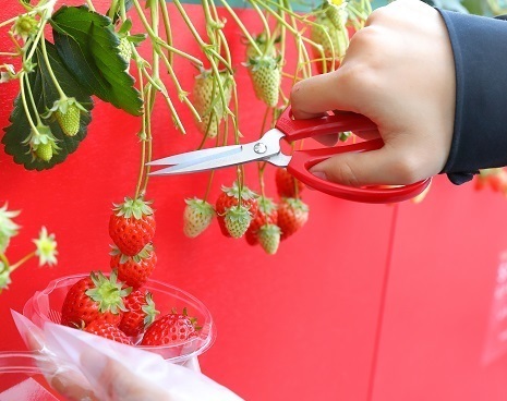 【あべのハルカス近鉄本店】ようこそ台湾ワールドへ