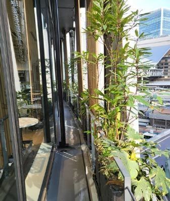 大阪梅田ツインタワーズ・サウスにおいて壁面緑化、屋上緑化などの植栽施設を施工・保有して「みどり空間の維持・活用サービス」を実施します