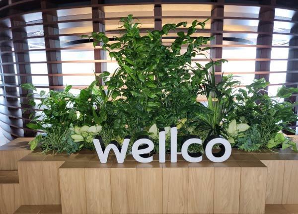 大阪梅田ツインタワーズ・サウスにおいて壁面緑化、屋上緑化などの植栽施設を施工・保有して「みどり空間の維持・活用サービス」を実施します