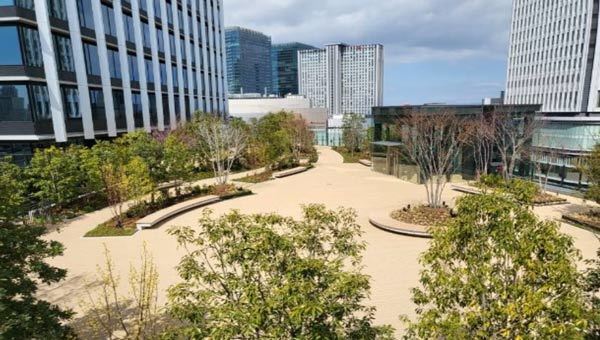 大阪梅田ツインタワーズ・サウスにおいて壁面緑化、屋上緑化などの植栽施設を施工・保有して「みどり空間の維持・活用サービス」を実施します