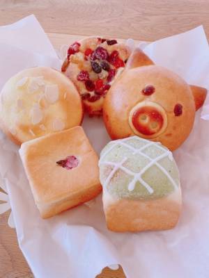 「近鉄百貨店」×「東急ハンズ」のコラボショップ地域の暮らし密着・発見・発信型マーケット「Plugs Market四日市店」フロア構成の概要について