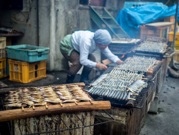 「近鉄百貨店」×「東急ハンズ」のコラボショップ地域の暮らし密着・発見・発信型マーケット「Plugs Market四日市店」フロア構成の概要について