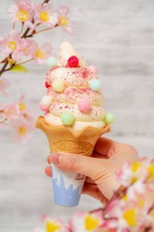 高知プリン亭からお花見のお供にぴったりの春商品が新登場！とろ～りなめらか、一口で春が広がる「さくらプリン」とパステルカラーのトッピングがかわいい「さくらさくソフトクリーム」